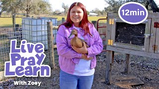 Zoey Helps on the Farm! | Scavenger Hunt | Video for Kids | Live Pray Learn