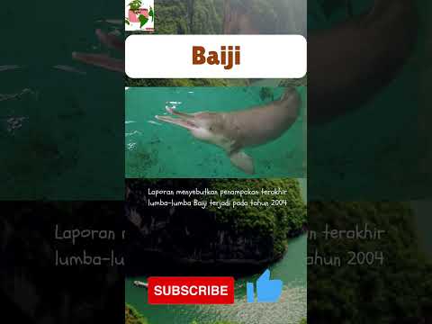 Video: Ogrožene vrste: kitajski rečni delfin (Baiji)