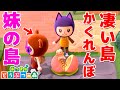 あつ森で「実の妹の島」に訪問したら半端ないほど島開拓してて笑った【あつまれ どうぶつの森】