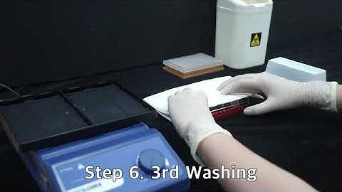 BioFACT / Sequencing cleanup kit / Magnetic bead type / 96well Stand type