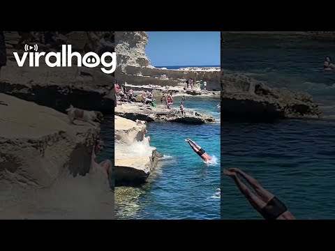 Dog Jumps To Swimming Owner's Arms || ViralHog