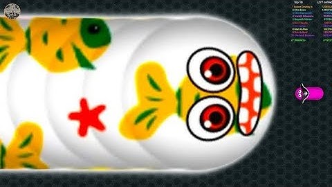 #Worms Zone Gameplay Walkthrough # iOS Android #Level Complete #Games #worms #snake #zone