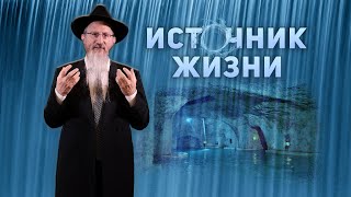 Живая вода: что такое микве?