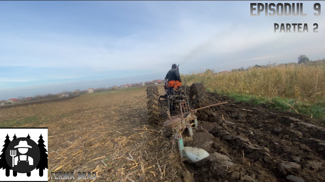 ( A VENIT ÎNGHEȚUL ) La Arat cu UTB 650 2/2 ( ULTIMUL EPISOD DIN 2023 )