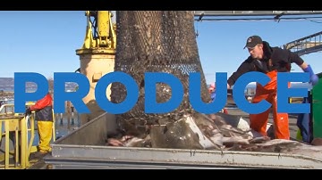 Food Systems Transformation: Now is the time