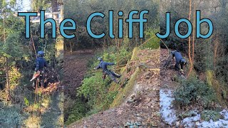 Abseiling to cut trees on Cliff face by Tpott's Trees 988 views 3 months ago 8 minutes, 40 seconds