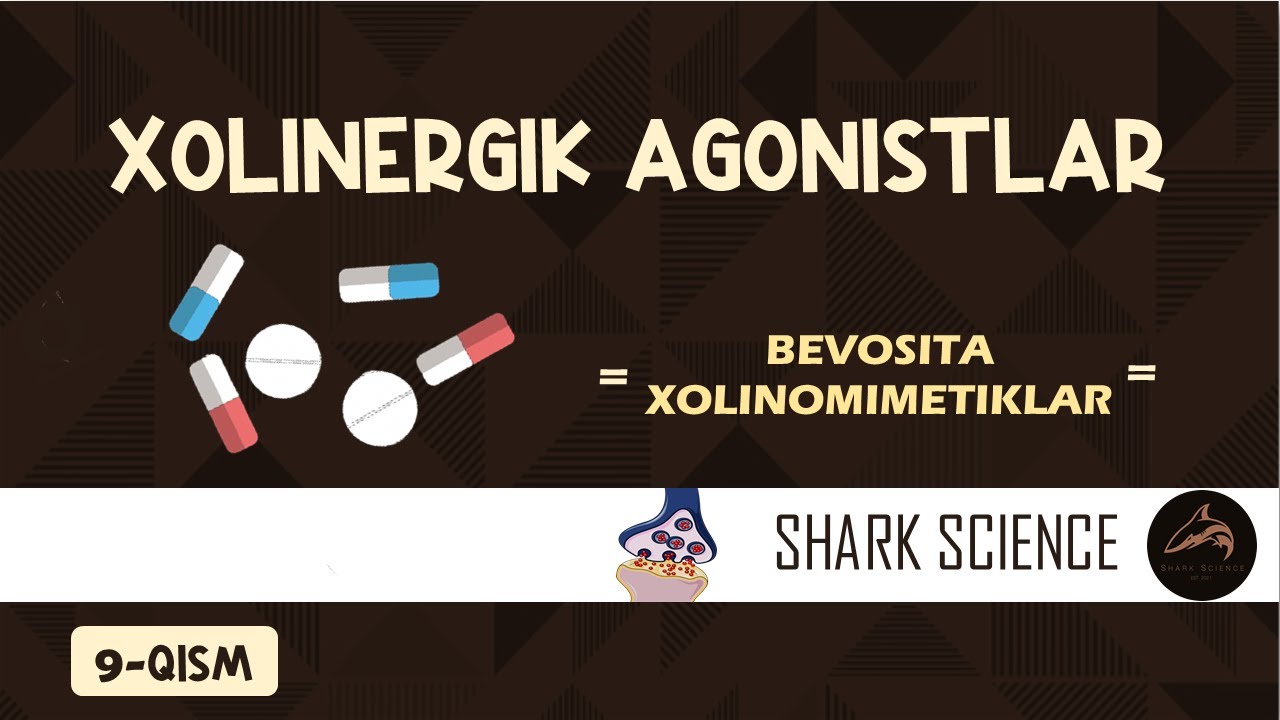 ᴀɴs: ʙᴇᴠᴏsɪᴛᴀ xᴏʟɪɴᴏᴍɪᴍᴇᴛɪᴋʟᴀʀ ᴠᴀ ɢʟᴀᴜᴋᴏᴍᴀ