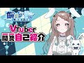 【自己紹介】Vtuber一問一答自己紹介【\#新人vtuber /餅月うる】