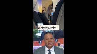 Delta Passenger Detained After Opening Plane Door