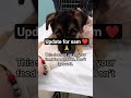 CHECK FIGHT PLEASE 💔The pup recovered yesterday has been admitted,kindly help us to clear medical 🙏