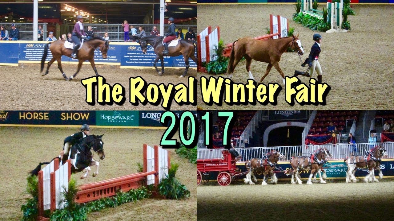 VLOG The Royal Winter Fair 2017 YouTube VLOG The Royal Winter Fair 2017 YouTube
