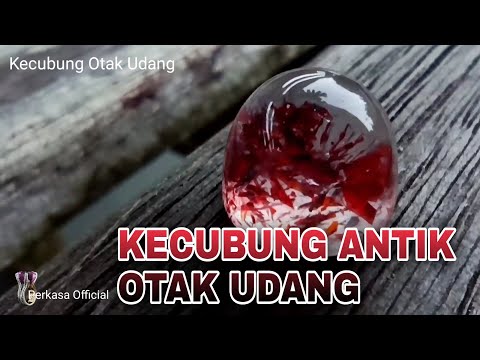 5 JENIS BATU PERMATA KECUBUNG BORNEO KALIMANTAN DENGAN HARGA TERTINGGI DIKELAS NYA. 