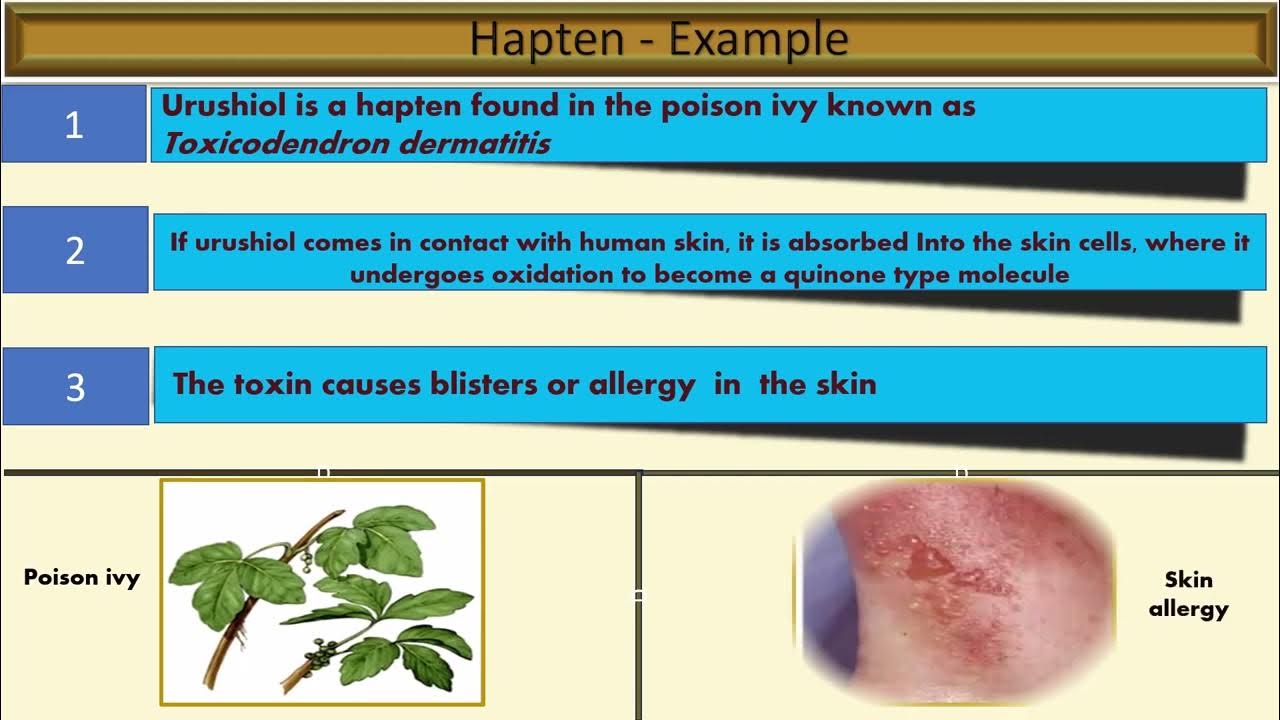 Tamilnadu * 12 Biozoology Immunology Antigens Antibodies YouTube