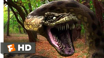 Anacondas: Trail of Blood (2009) - Jeep vs. Anaconda Scene (3/10) | Movieclips