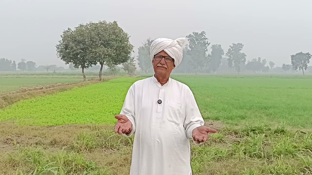 साडू को दिए उधारे पैसे जब पैसे वापिस लेने गया तो साली ने कपड़े फाड़ कर बुलाली पुलिस पड़ गए लेने के