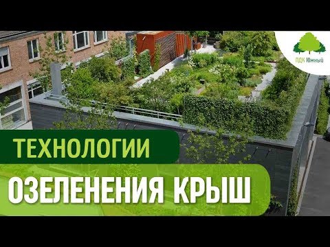 Зеленая кровля. Технология озеленения и посадки газона на крыше