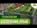 Зеленая кровля. Технология озеленения и посадки газона на крыше