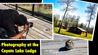 My Landscape and Bird Photography shots at the Coyote Lake Lodge
