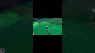How to Find a Fire Stone in the Wild Area | Pokémon Shield  #pokemonshield #pokemonshorts #galar
