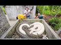 Brave Soldiers Used High-Tech Snake Detectors To Locate A Giant Python Nest
