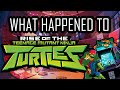 The Rise and Fall of RISE OF THE TEENAGE MUTANT NINJA TURTLES