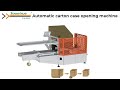 carton case packer for facial tissue packaging ZX660E
