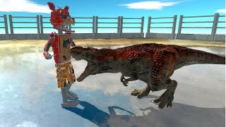 Roxy Foxy Vs Random Opponents