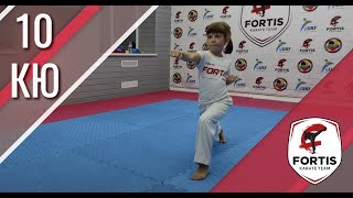 ПРОГРАММА 10 КЮ / Подготовка к аттестации / Каратэ Шотокан / UKF & WKF / FORTIS KARATE CLUB