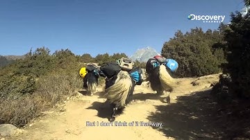 For The Love Of The Job | SHERPA