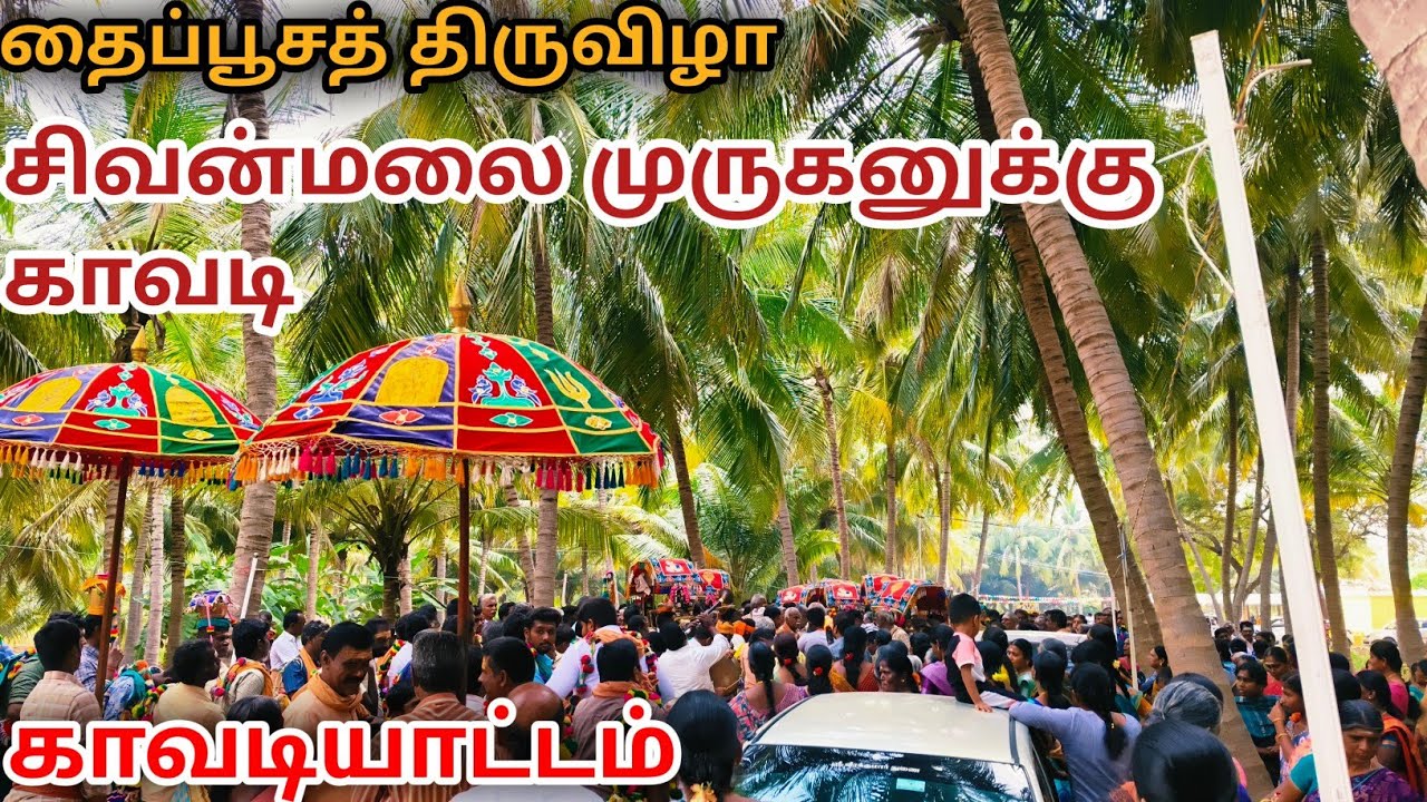 மேளதாளத்துடன் அரோகரா முழங்க முருகனுக்கு காவடி எடுத்து வருதல்|தைப்பூசத் திருவிழா|#murugan