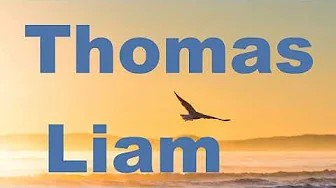 Liam Thomas: Best Collection. Ambient Mix Liam Thomas: Best Collection. Ambient Mix