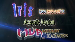 Iris | Goo Goo Dolls | Acoustic version karaoke