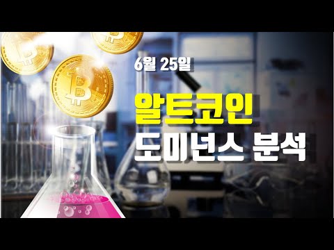   6월 25일 알트코인 시총 분석