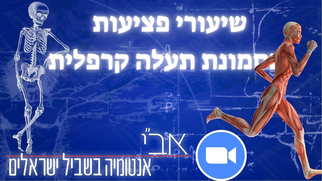 תסמונת תעלה קרפלית - YouTube
