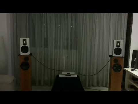 Piega Premium Wireless