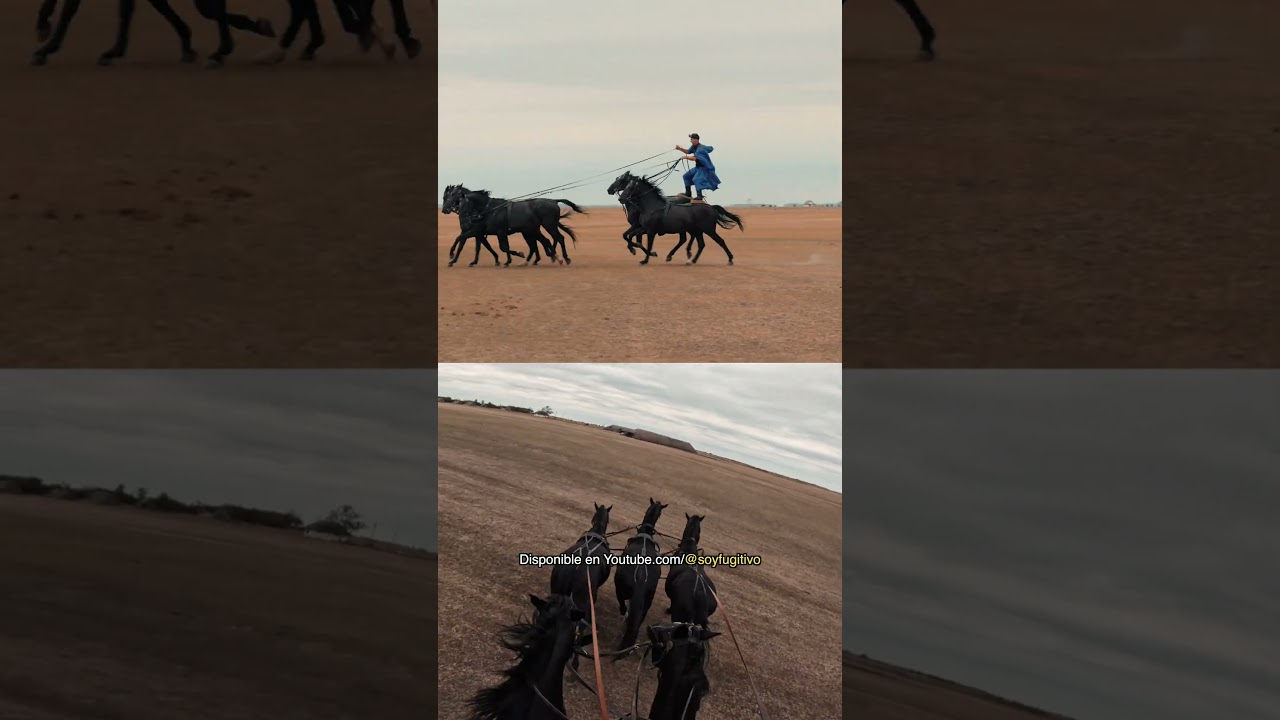 Montando 5 caballos a la vez ¿Cultura o locura? 🤯