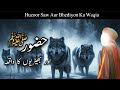 Huzoor saw aur bhediyon ka waqia  islamic stories in urdu  islamic story