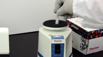 Amine-reactive TMT10plex Mass Tagging Kit