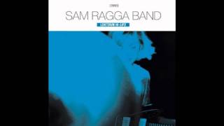 Sam Ragga Band feat. Seanie T - HH-Centric