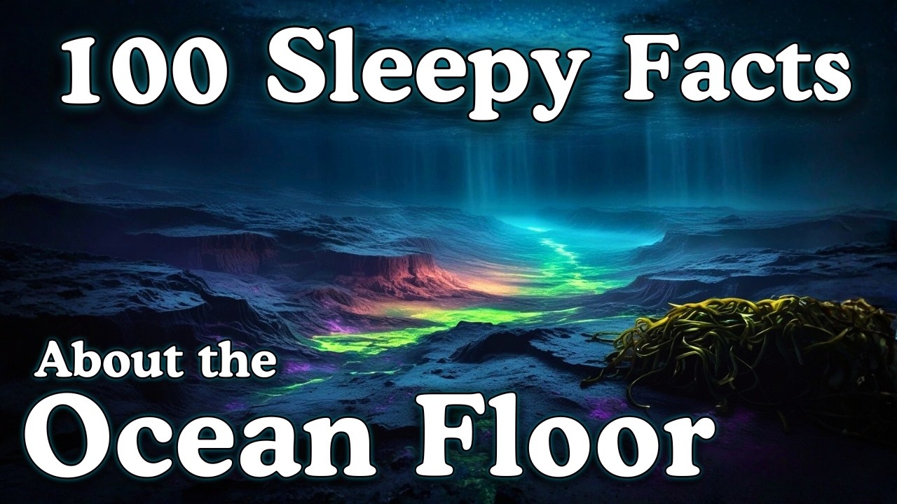 The Most Relaxing Facts About The Ocean Floor to Fall Asleep To — No Adverts