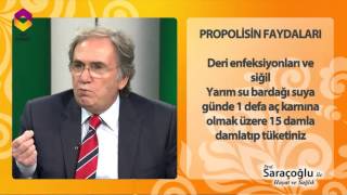 Prof Saraçoğlu'ndan propolisin faydaları screenshot 5