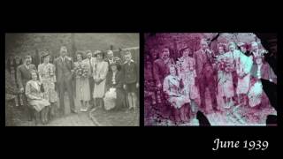 Chromosome 17 (BRCA1 photography Project)