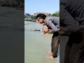 Har har gange