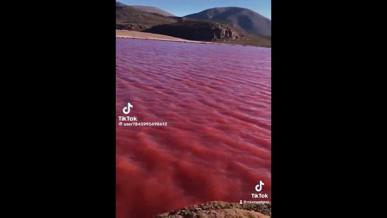 Nile River Is Now Turning Blood Red YouTube Nile River Is Now Turning Blood Red YouTube