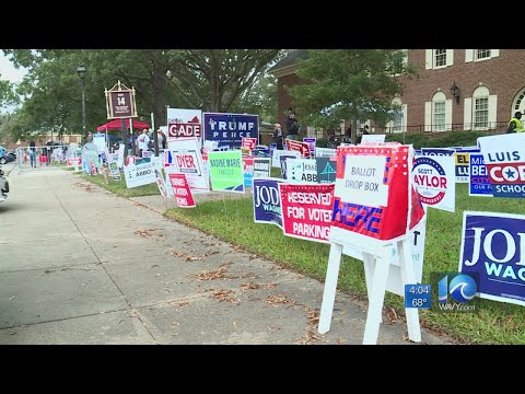 Virginia voter registration website outage local impact