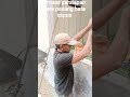 cara persiapan pasang bata expos sesen 1 #tutorial #praktek #fypシ゚viral