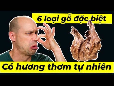 Video: Wmz là gì và tại sao ví này lại phổ biến như vậy