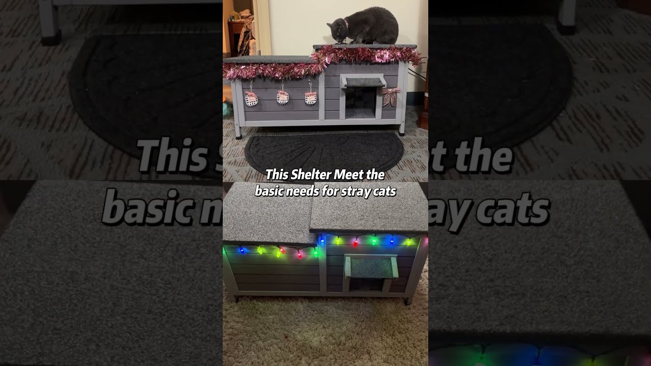 New Cat House For Strays Aivituvin Catshelter Cathouse Feralcat