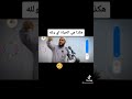 هكذا هي الحياة أي الله الشيخ محمود الحسنات