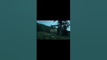وكان الله غفورًا رحيمًا ||قرآن كريم بصوت ابراهيم  ادريس||حالات قرآن كريم || Quran status
